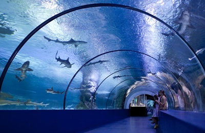 Antalya Aquarium Turcja oceanarium  (2).jpg